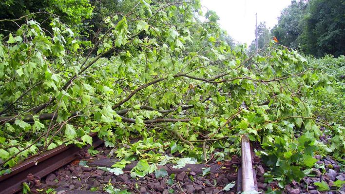 ARCHIV: Entwurzelter Baum blockiert ein Bahngleis, 09.06.2014