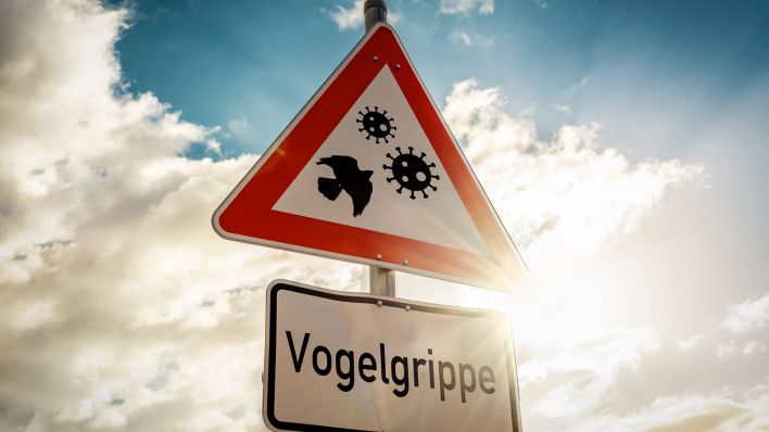 Fotomontage: Warnschild "Vogelgrippe"