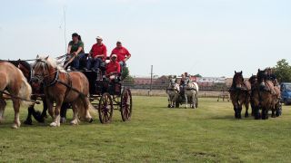 Drei Gespanne bei Vorbereitungen für das Event "Titanen der Rennbahn". (Quelle: rbb/Hakenjos)