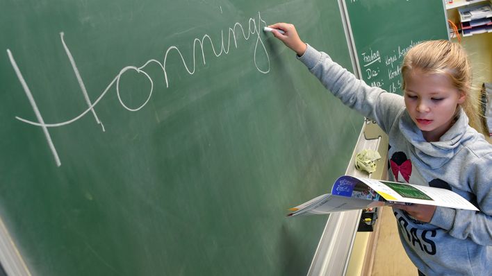 Die achtjährige Schülerin Milena Wesenberg schreibt am 07.11.2017 ein Wort auf Plattdeutsch an eine Tafel der Pestalozzi-Grundschule in Prenzlau (Brandenburg). (Quelle: dpa/Pleul)