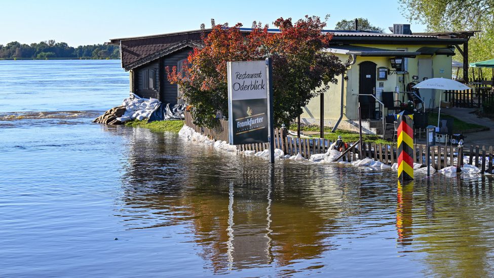 Archivbild: Ein Restaurant und das Gelände dahinter ist durch einen Wall von Sandsäcken vor dem Hochwasser vom Fluss Oder geschützt. Die Wasserstände in den Hochwassergebieten an der Oder gehen weiter leicht zurück. Die Alarmstufe 3 wird nach Angaben von Brandenburgs Umweltminister Vogel noch einige Tage andauern. (Quelle: dpa/Pleul)