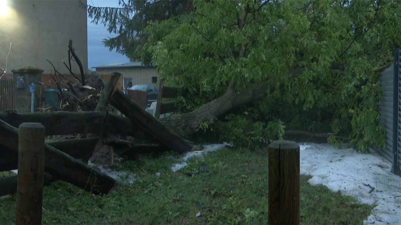 Sechs Verletzte Durch Unwetter In Berlin Und Brandenburg | Rbb24