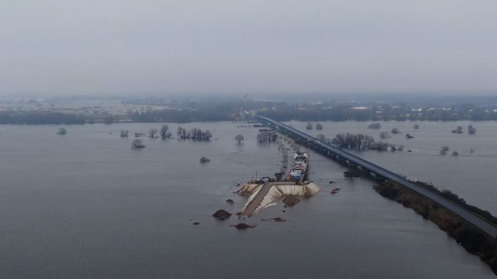 Elbe-Hochwasser in der Prignitz (Bild: TNN)