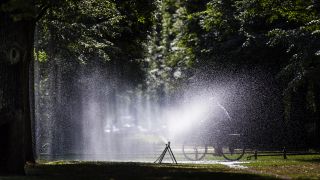 Bewässerung im Tiergarten