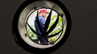 Eine ausgestanzte Metallform in Form einer Cannabis-Pflanze füllt am 15.03.24 in Berlin ein rundes Fenster aus (Quelle: rbb / Heib).