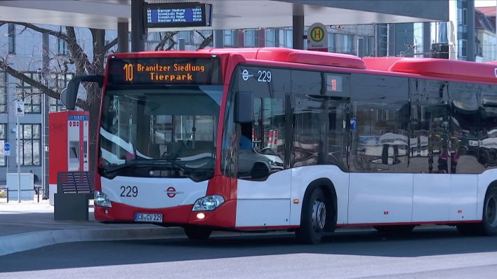 Ein Bus des Unternehmens Cottbusverkehr hält an einer Bushaltestelle. (Quelle: rbb)
