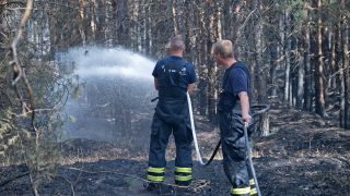 Symbolbild: Brandenburg, Frohnsdorf: Feuerwehrmänner löschen ein Brandnest am 25.08.2018.(Quelle: picture alliance/dpa/Ralf Hirschberger)