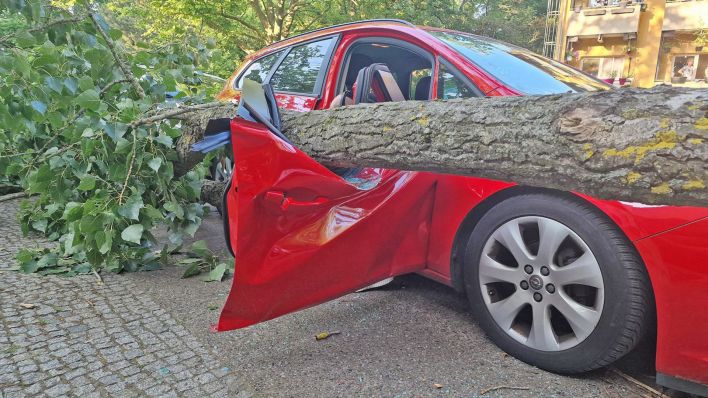 Rettungskräfte befreien einen Autofahrer am 08.06.2024 nachdem ein großer Ast in Neukölln auf ein Auto stürzte. (Quelle: Morris Pudwell)