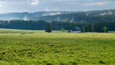 Ein Haus im tschechischen Ort Ryznova (Quelle: rbb/Oliver Noffke)