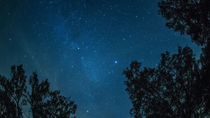 Brandenburg, Prietzen: Die Milchstraße ist unweit von Prietzen (Brandenburg) am Himmel zu sehen. (Quelle: picture alliance/dpa/Paul Zinken)