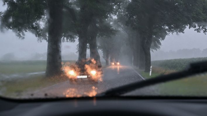 Heftige Regenfälle behindern der Verkehr auf einer Allee in Brandenburg. (Quelle: dpa/Pleul)