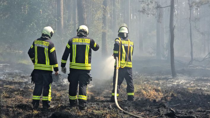 Symbolbild: Bei heißen Temperaturen löschen Feuerwehrleute in voller Montur einen Waldbrand (Quelle: dpa/Cevin Dettlaff)