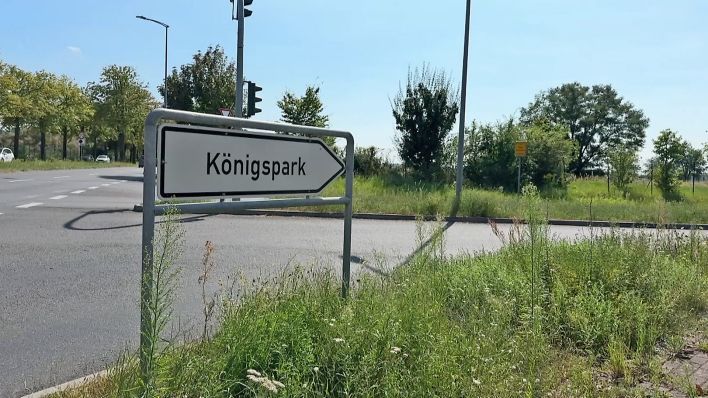 In Königs Wusterhausen könnte ein neues Wohnquartier oder ein Gewerbegebiet im Königspark in entstehen. (Quelle: rbb)