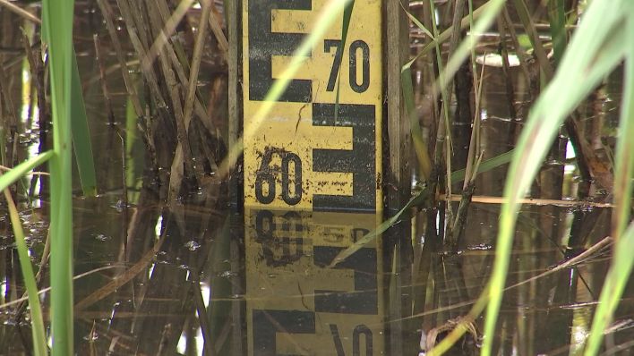 Ein Pegel zeigt den gesunkenen Wasserstand im Großsee (Spree-Neiße) an. (Quelle: rbb)