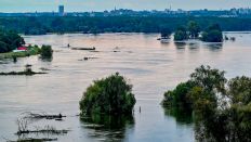 Das Hochwasser der Oder hat bereits weite Teile des Odervorlandes, wie hier nördlich von Frankfurt (Oder) nahe dem Ort Lebus, bis zum Deich überflutet. Sandsäcke, Deichläufer und Schutzwände - in den Hochwassergebieten im Osten Brandenburgs sollen große Schäden verhindert werden. (Foto: dpa)