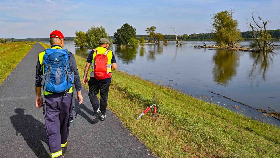 24.09.2024: Zwei sogenannte Deichläufer, die auf dem Deich unterwegs sind und die Hochwasseranlage am Fluss Oder überprüfen, sind unweit von Ratzdorf im Einsatz (Quelle: dpa/Patrick Pleul)