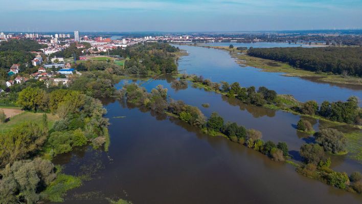 Durch das Oderhochwasser sind bereits Wiesen außerhalb der Stadt Frankfurt (Oder) überschwemmt (Luftbild mit Drohne). (Quelle: dpa/Pleul)