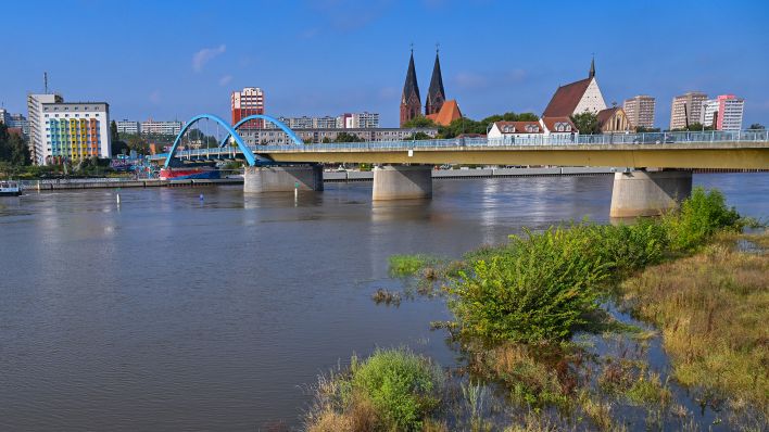 19.09.2024, Blick vom polnischen Ufer aus auf das Hochwasser des deutsch-polnischen Grenzflusses Oder. (Quelle: dpa/Patrick Pleul)