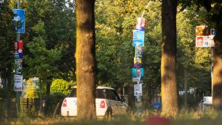 Wahlplakate von SPD, AfD, Die Grünen, FDP, CDU, Die Linke und BVB zwischen Bäumen auf der Hegelallee in Potsdam, aufgenommen am 28.08.2024. (Quelle: dpa/Ben Kriemann)