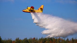 Archivbild: FIREMobil 2023 in Welzow. (Quelle: DFV/Mattias Östreicher)