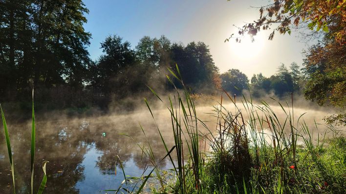 Symbolbild: Frühnebel über der Müggelspree an einem sonnigen Herbstmorgen. (Quelle: dpa/Wafue)