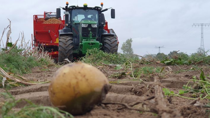 Neue Kartoffelerntemaschine macht Hoffnung für die Zukunft des Kartoffelanbaus in Brandenburg. (Quelle: rbb)