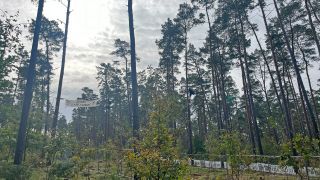 Protestcamp auf Tesla-Baustelle in Grünheide, Brandenburg.