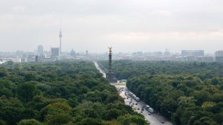 Symbolbild: Der Tiergarten in Berlin. (Quelle: dpa/Muhs)