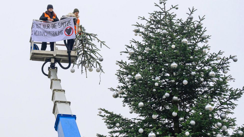 Archivbild: Zwei Aktivisten der Umweltschutzgruppe Letzte Generation entfernten die Spitze des Weihnachtsbaums vor dem Brandenburger Tor. (Quelle: dpa/picone)