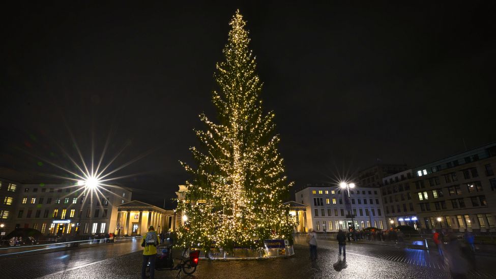 Weihnachtsbaum am Brandenburger Tor in Berlin. (Quelle: dpa/Halil Sagirkaya)