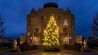 Ein prächtig geschmückter Weihnachtsbaum steht vor dem Staatstheater Cottbus. (Quelle: dpa/Frank Hammerschmidt)