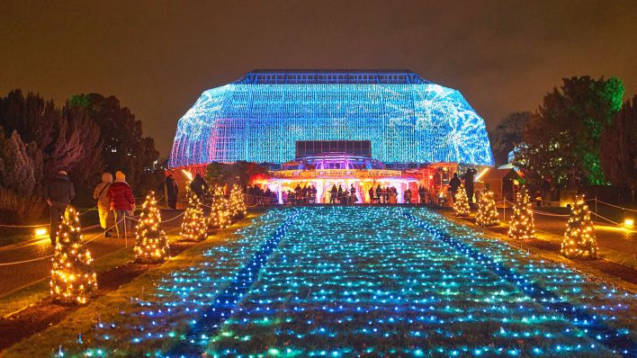 Archivbild: Christmas Garden Berlin 2024 im Botanischen Garten. (Quelle: imago images/eventfoto)