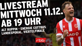 Cottbus-Stürmer Timmy Thiele jubelt nach einem Tor freudig auf dem Spielfeld (Quelle: IMAGO / Steffen Beyer)