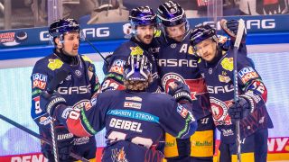 Die Eishockey-Spieler der Eisbären Berlin haben mit den Züricher Lions einen harten Gegner vor der Brust. (Foto: IMAGO / Andreas Gora)