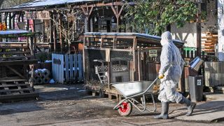 Ein Mitarbeiter vom „Helle Tierarche e.V.“ geht wegen der Maul- und Klauenseuche mit einem Schutzanzug in den Stall zum Versorgen der Tiere. Die Einrichtung ist derzeit für Besucher geschlossen. +++ dpa-Bildfunk +++