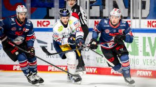 Eine Szene aus dem Spiel der Eisbären Berlin gegen die Nürnberg Ice Tigers. Quelle: imago images/Zink