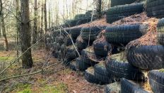 Altlasten: Reifen im Wald in Rietz Neuendorf